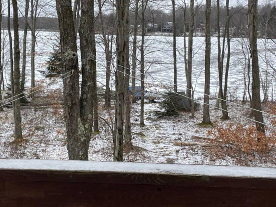 Lakefront!!! 4br/3ba , Sauna, Private Dock, Boat.. Arrowhead Lake